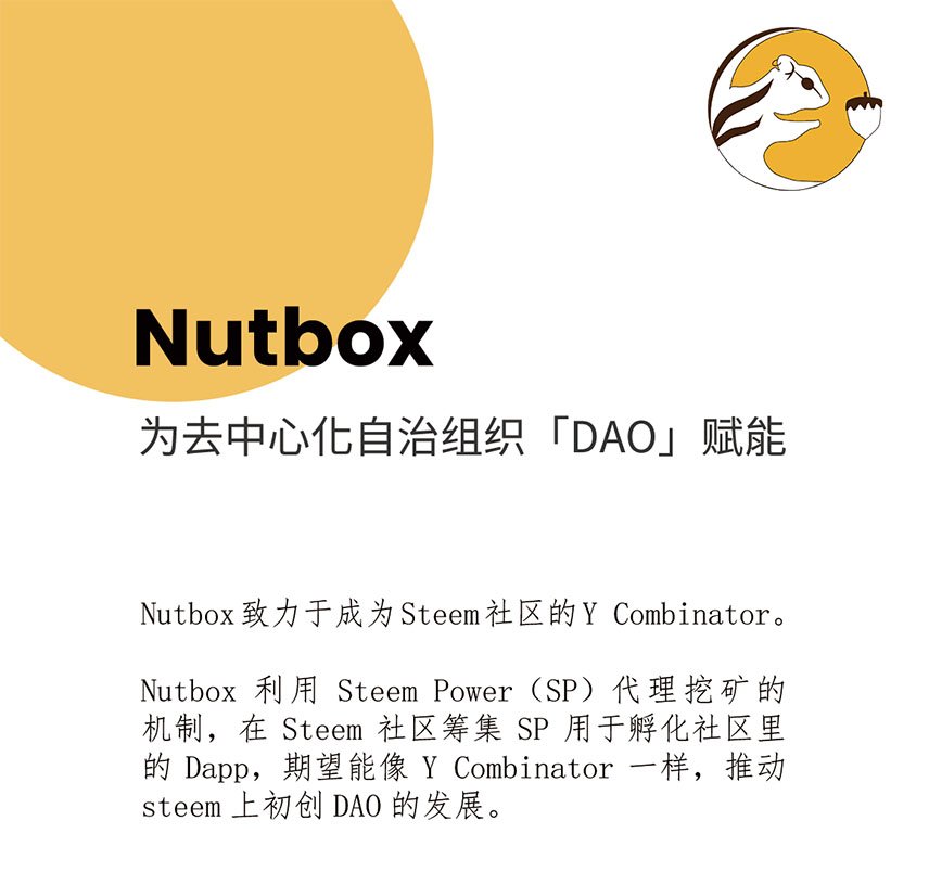 nutbox.jpg
