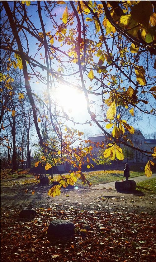 Last Day of the Fall