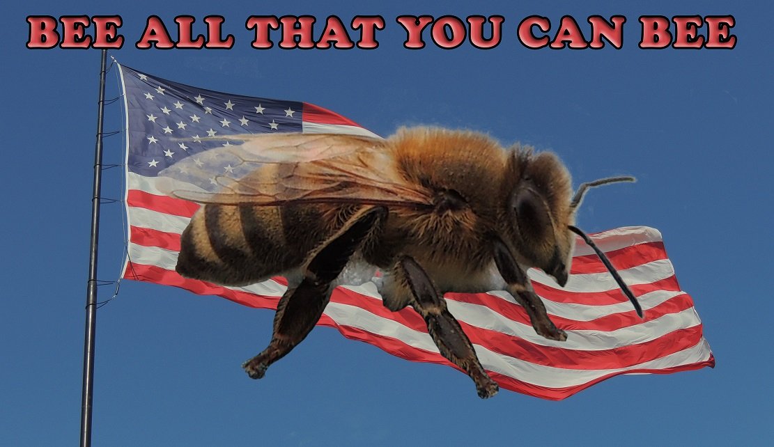 bee103dc0.jpg