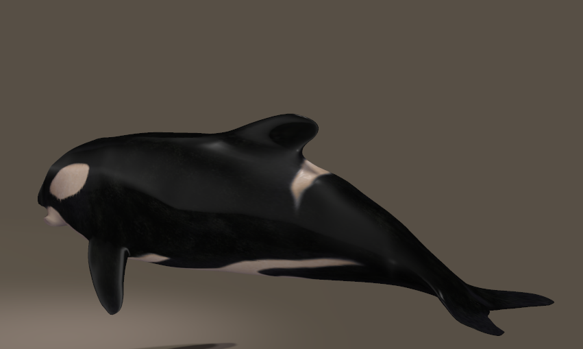 Whale 3d Model Free Download