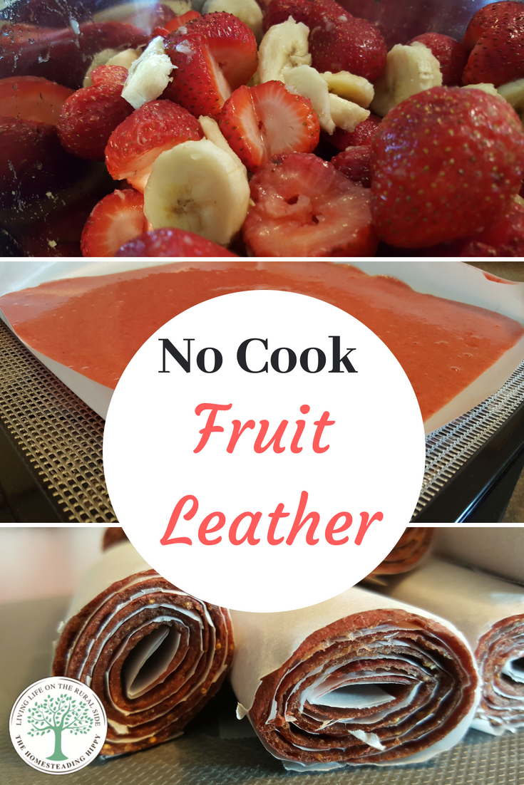 Have a large amount of fresh fruit from the garden or co-op? These no cook fruit leather dehydrator recipes are an easy and healthy snack for your family.