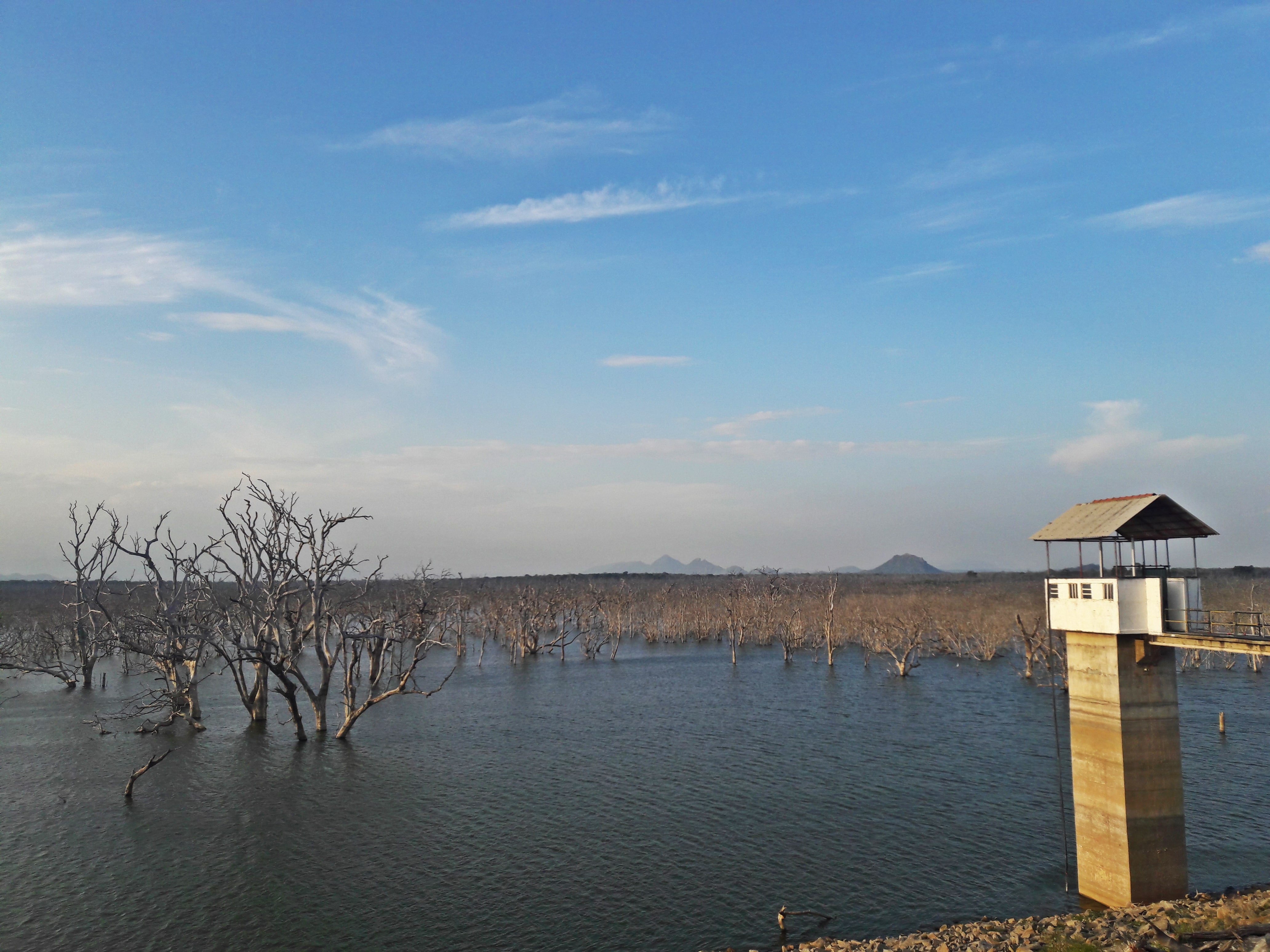 Ocean view from the Yala National Park