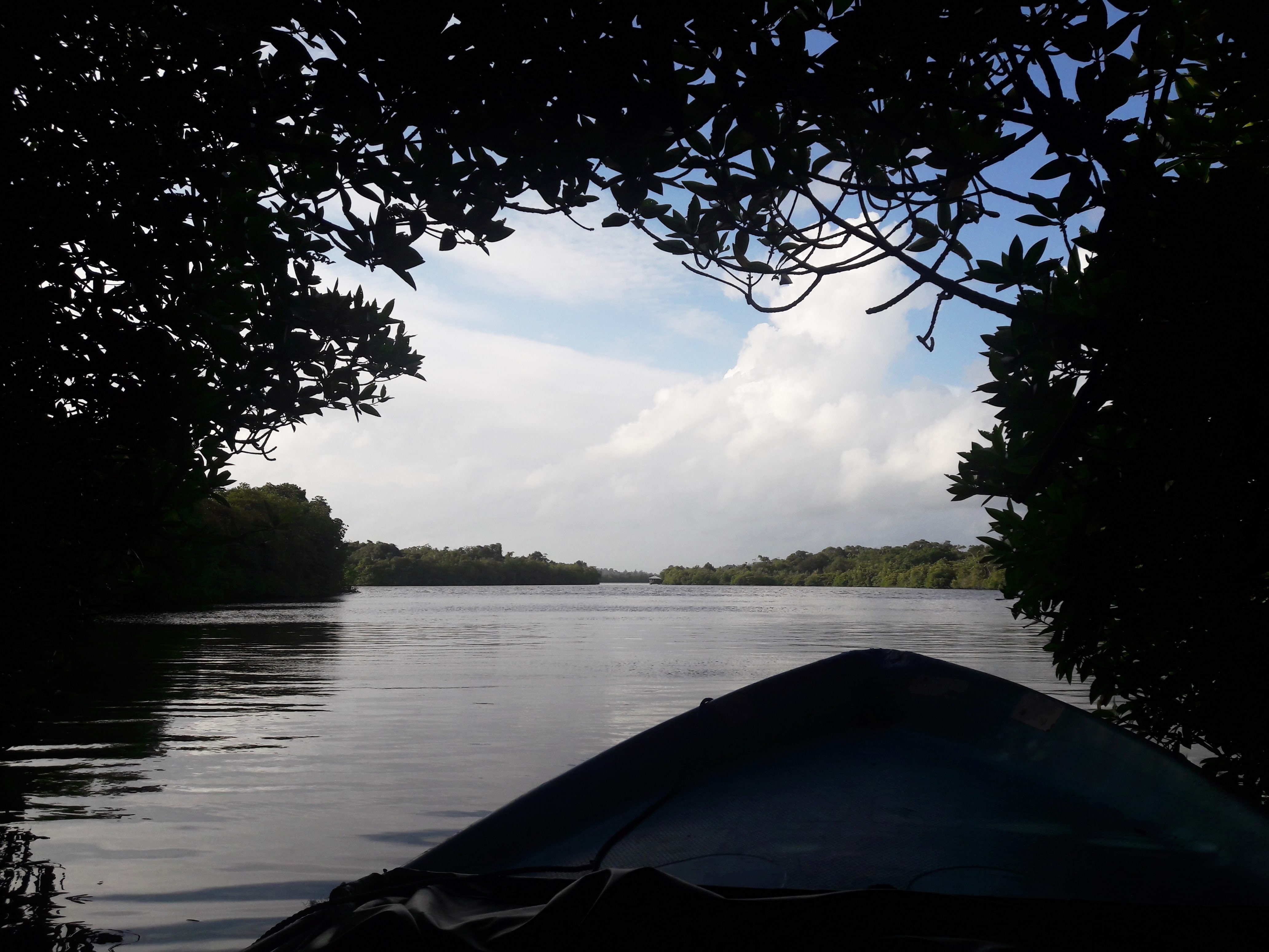 The boat safari was quite a beautiful offbeat experience in Sri Lanka