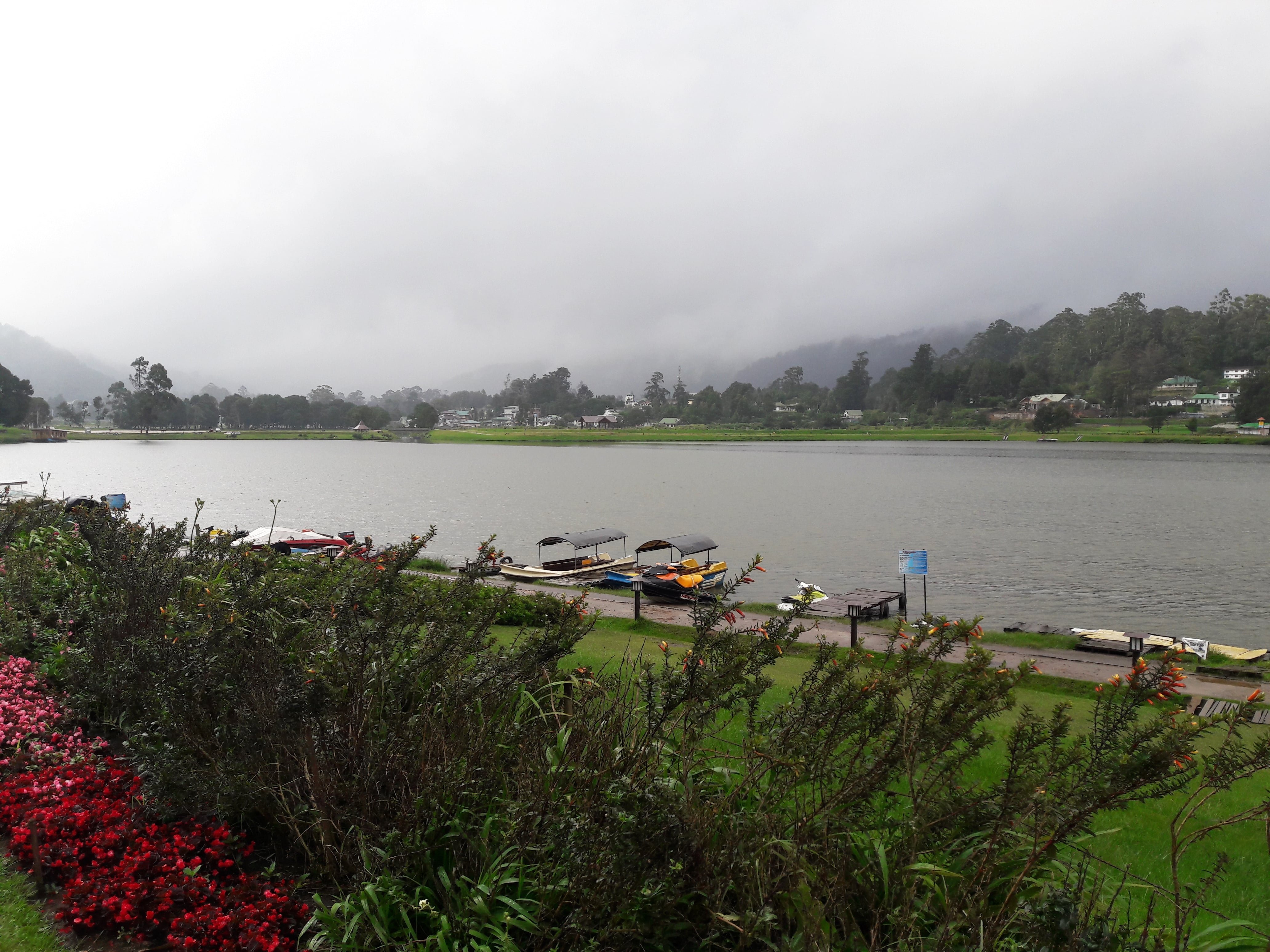 View of the serene Gregory lake