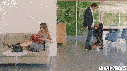 https://thumbs.gfycat.com/FrigidPalatableAdder-size_restricted.gif