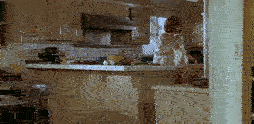 https://thumbs.gfycat.com/UnkemptAgedChamois-size_restricted.gif