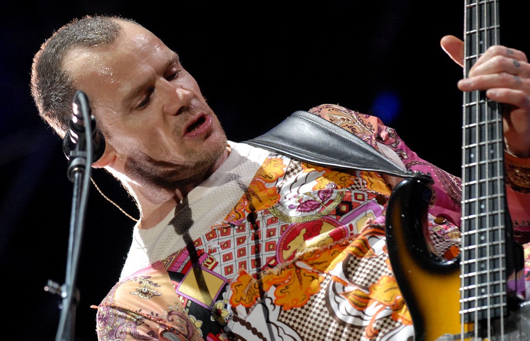 Flea