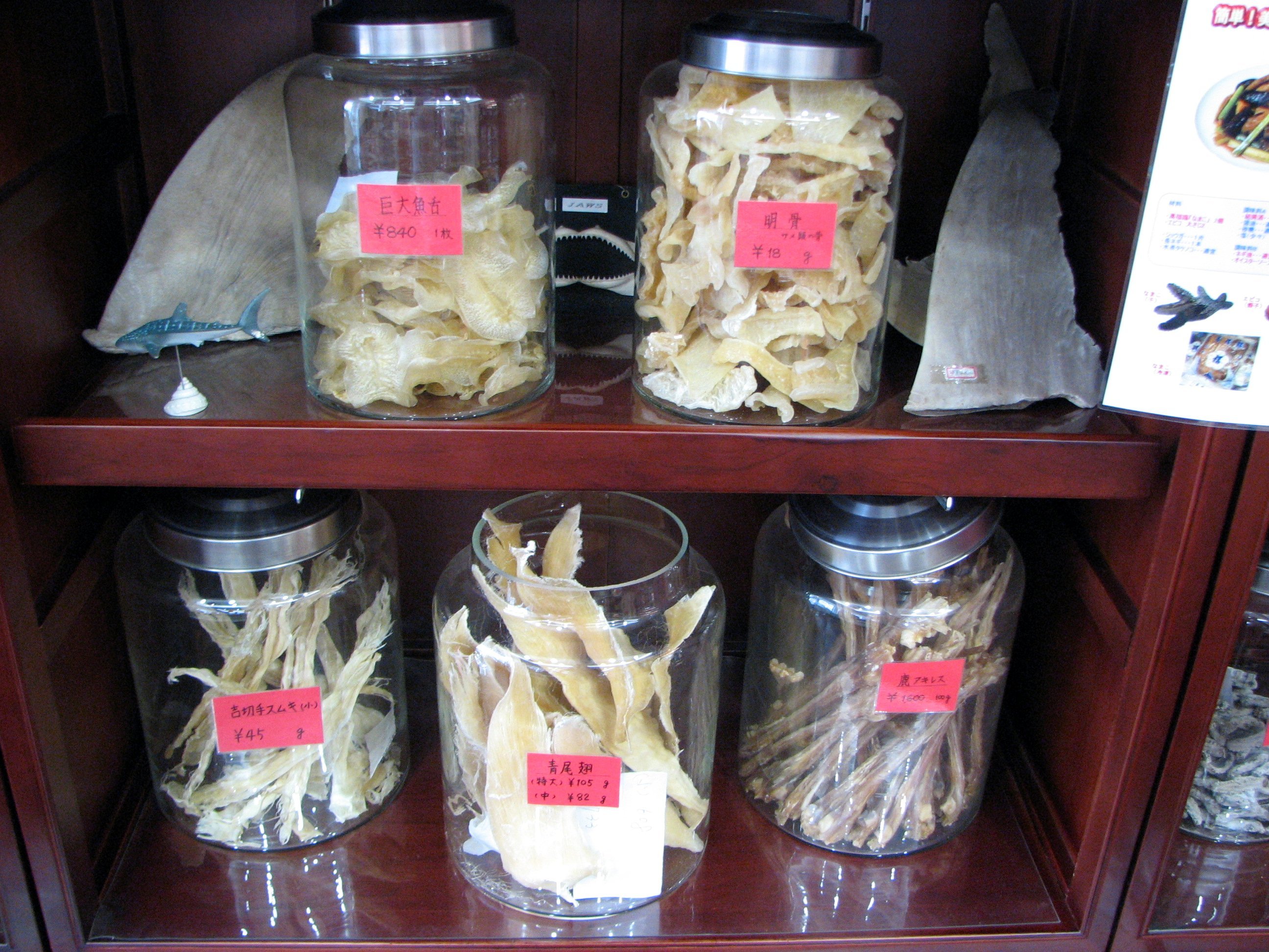 Shark Fin Soup The Asian Luxury Dish That Leaves Sharks