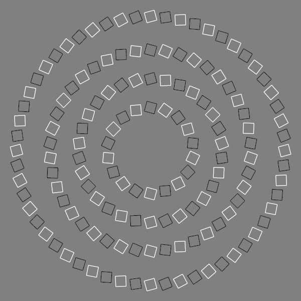 Pinna's Illusion, from wikipedia