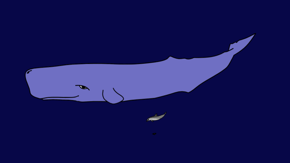 big-whale-2