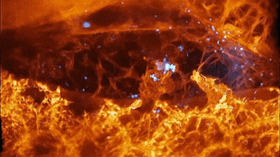 3D Movies Capture Unprecedented Details of Cells