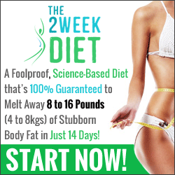 The 2 Week Diet