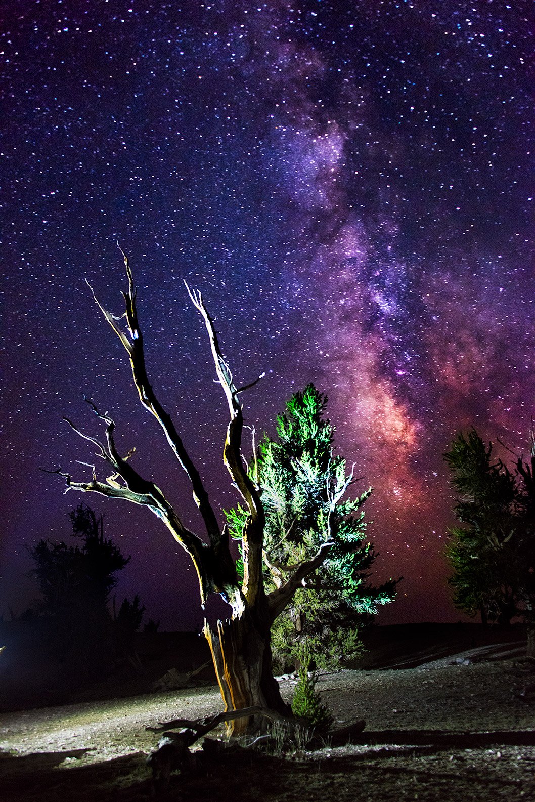 The White Mountains sit above 11,000 ft. making the Milky Way visible at night.