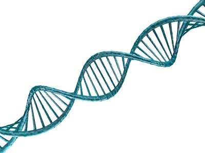 Deciphering the three dimensional structure of DNA