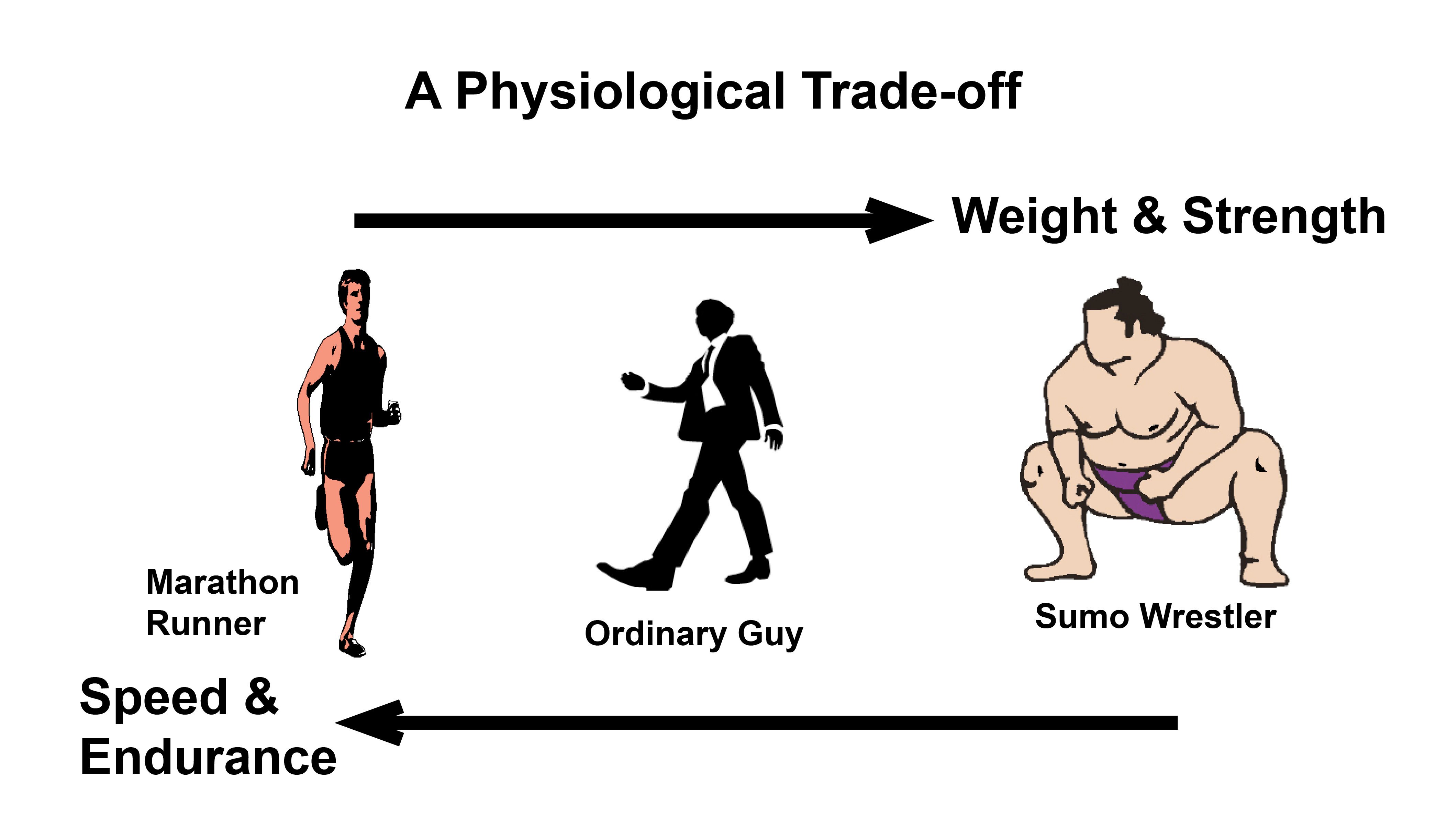 trade-off-theory-of-leverage-how-to-trade-stock-index-futures