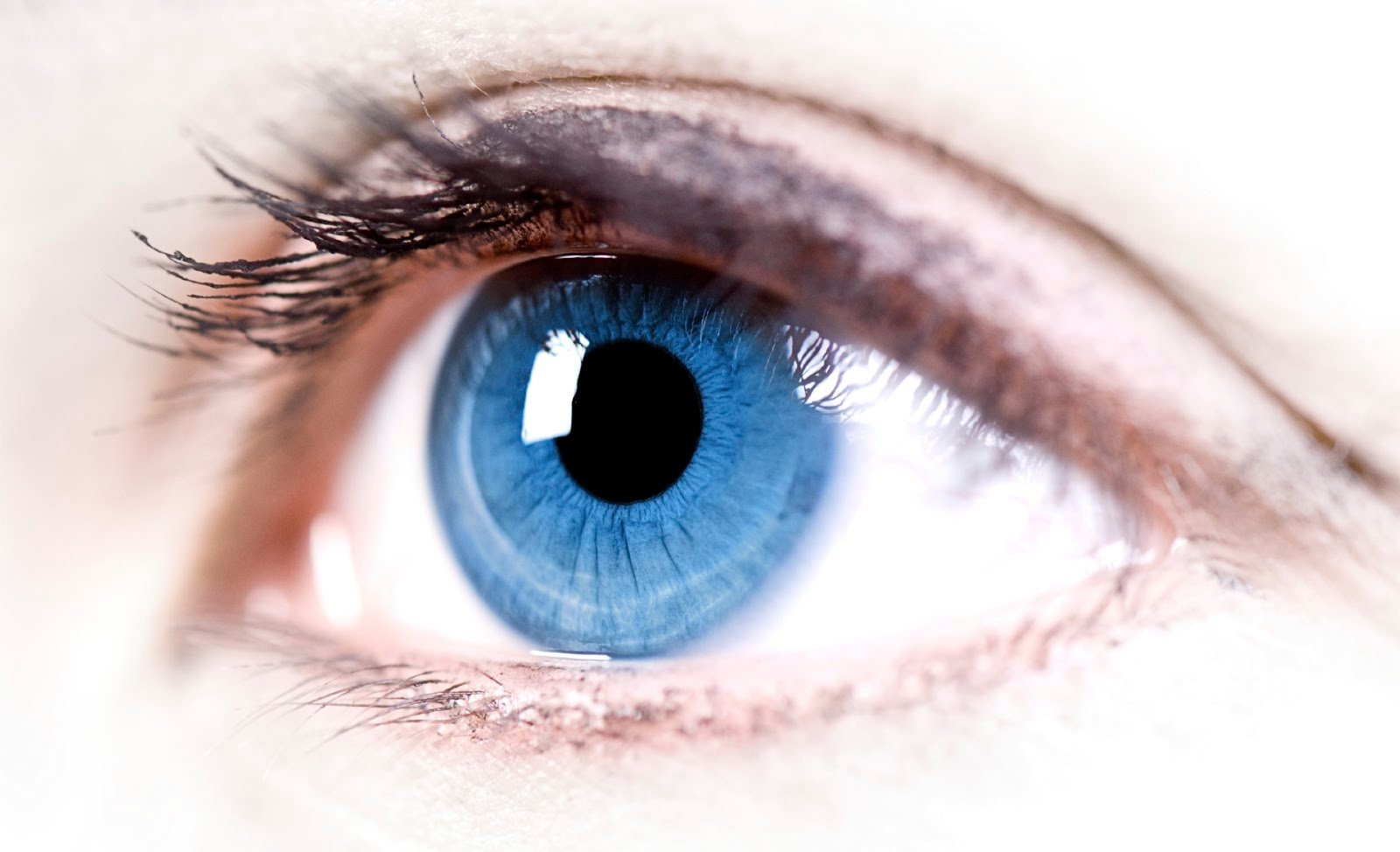 how many megapixels in eye
