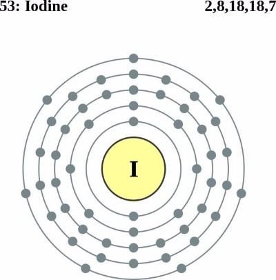 iodine needs in the body