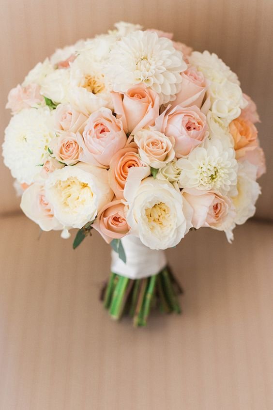 a perfect combination of peach pink and white roses for a spring wedding - White Patience Garden Rose a perfect combination of peach pink and white roses for a spring wedding - White Patience Garden Rose