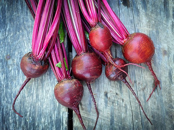 Detroit Dark Red Beet