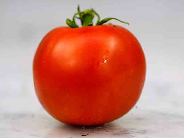 Bonny Best Tomato