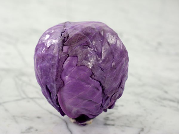 Mammoth Red Rock Cabbage