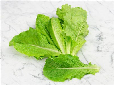 Crisp Mint Lettuce