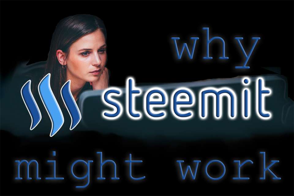 Why Steemit might work