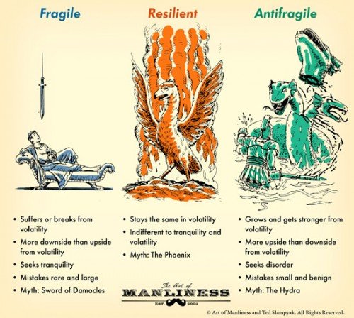 Antifragile-30d625.md.jpg