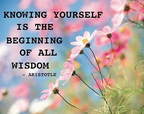 Knowing-Yourself-Quote0de1e.jpg