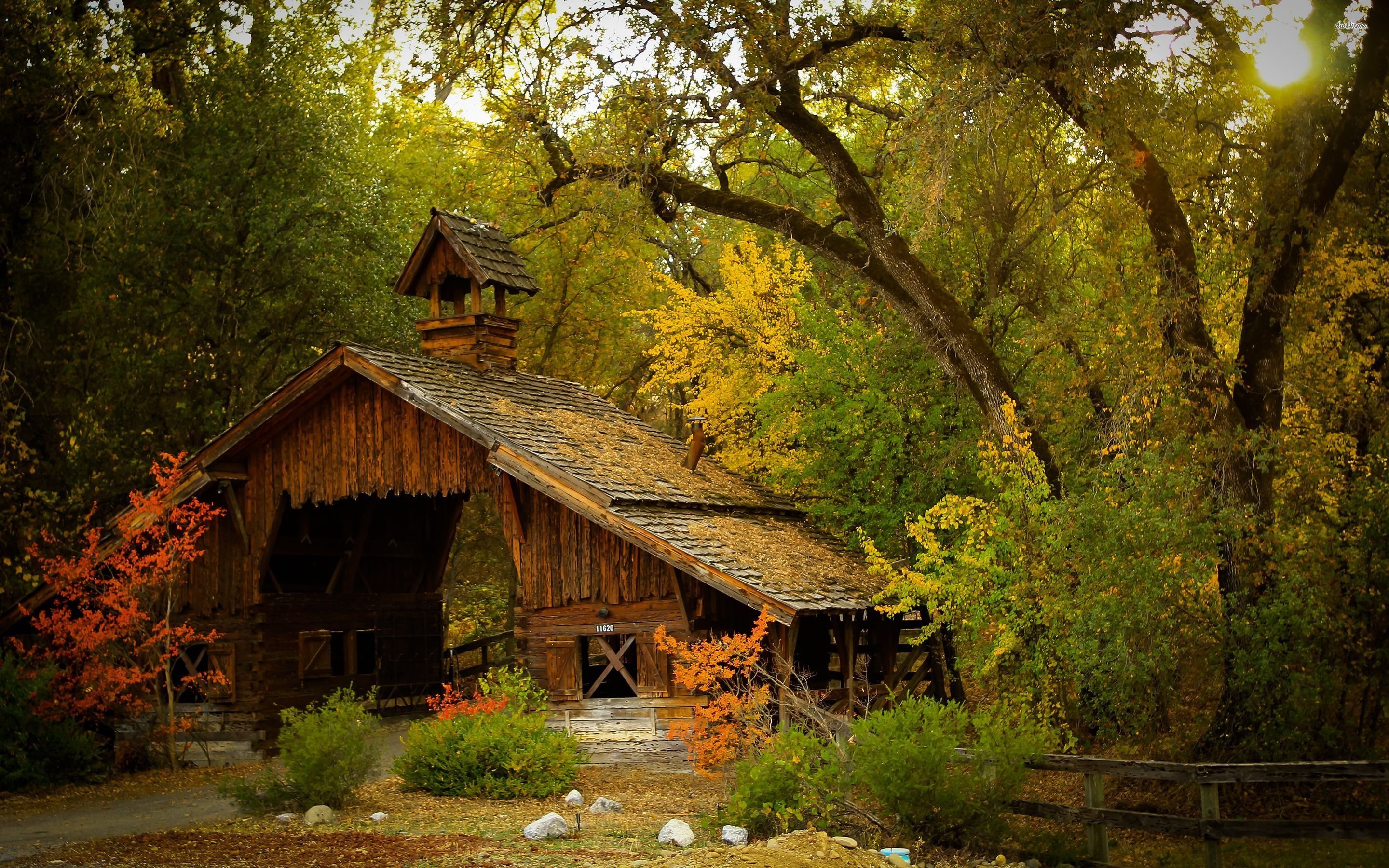 barn-forest-treeb4e2c.jpg