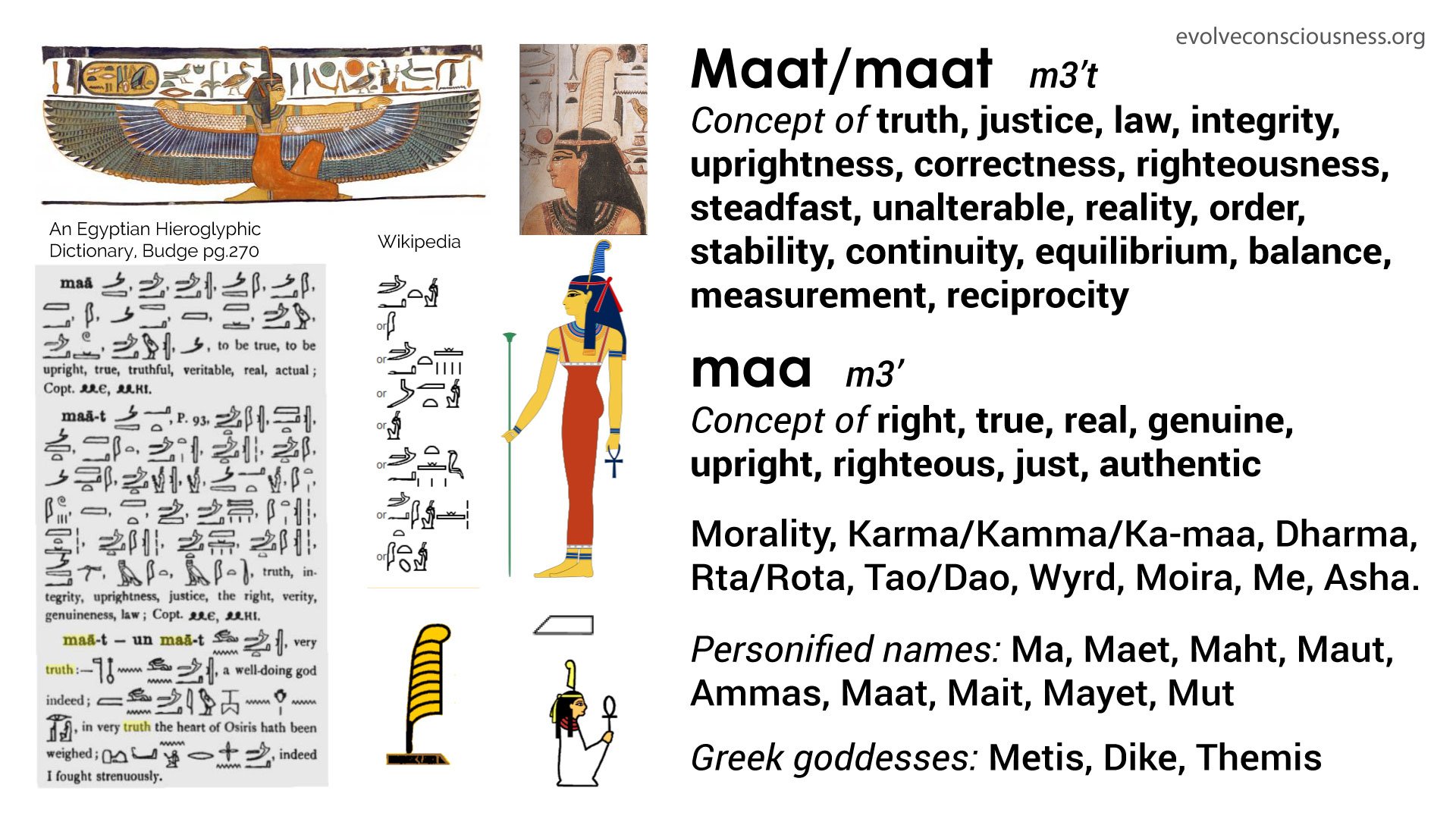 01-Maat06dbe.jpg