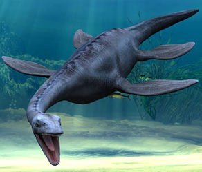 Plesiosaurc8294.jpg