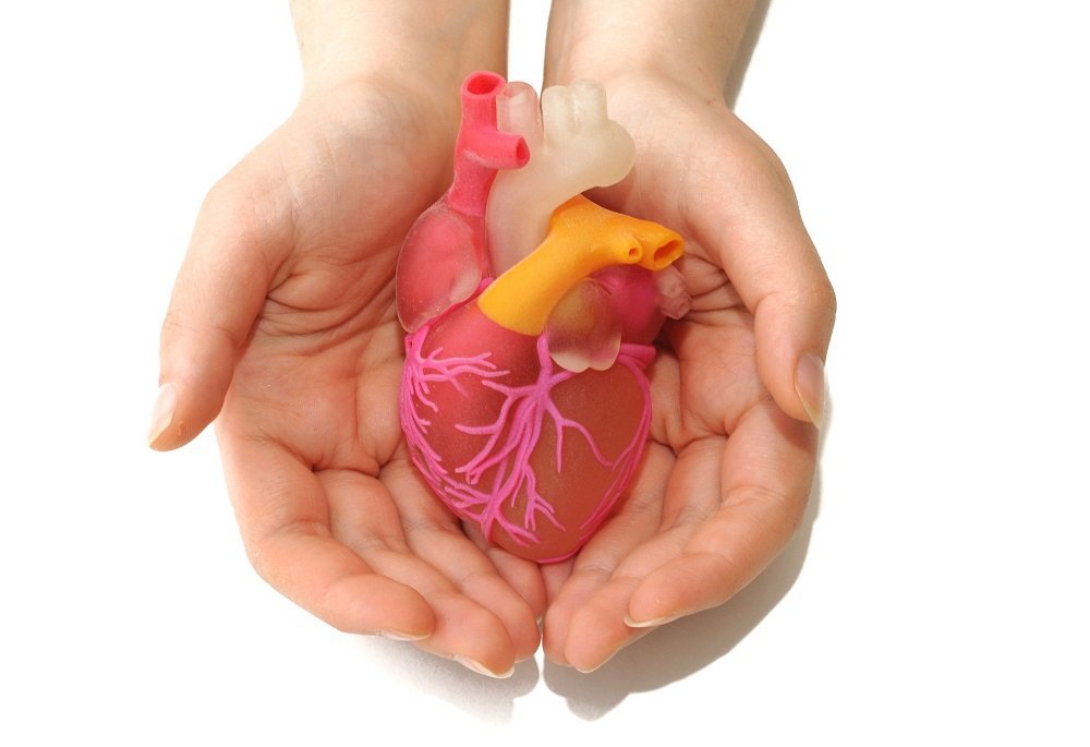 Heart