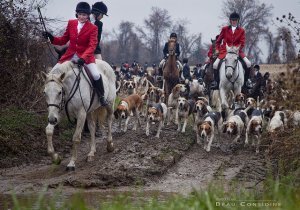 fox hunting