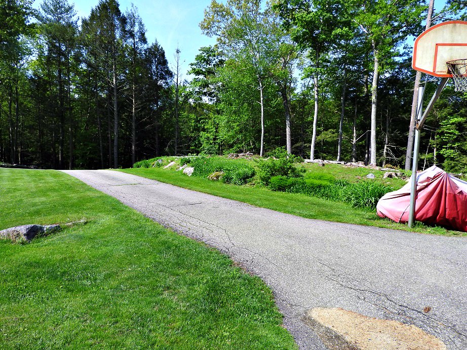 Another meander down my driveway