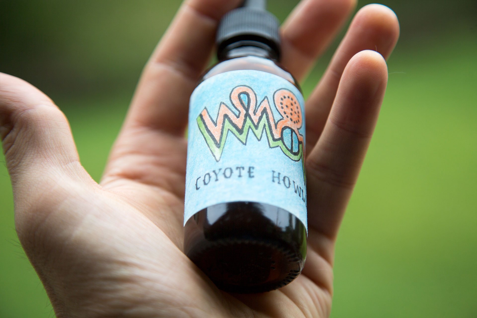 “Coyote Howllelujah” Herbal Infusion - Folk Medicine for Steemit Vision Quest
