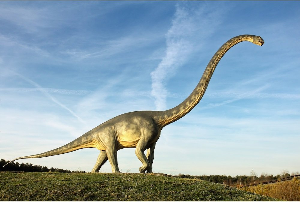 the longest dinosaur