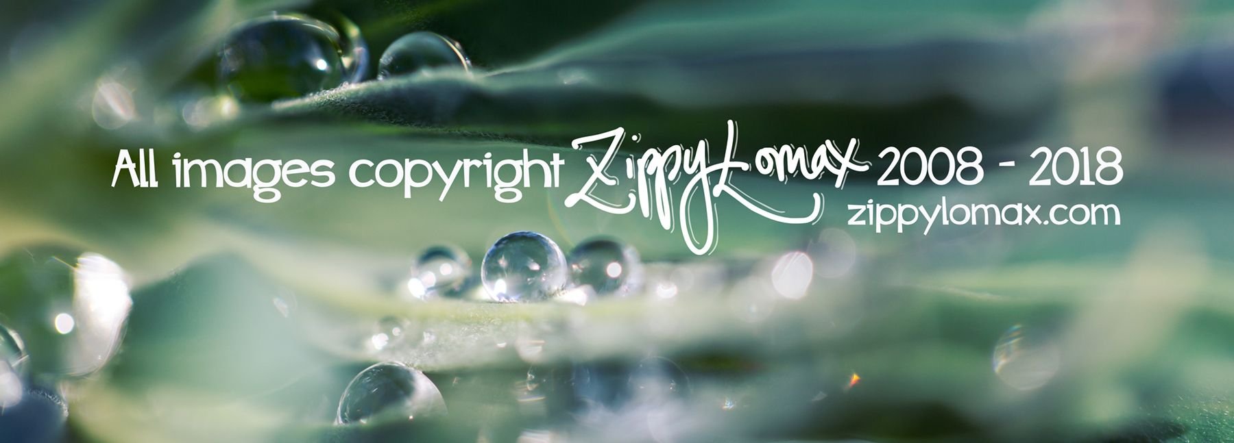 copyright-dewdrops.jpg