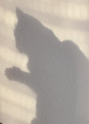 Loki shadow 3.jpg