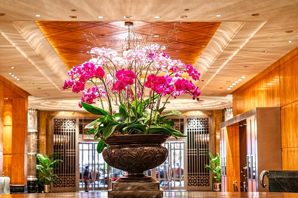 Orchid flowers at hotel lobby