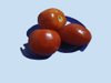 tomates .jpg