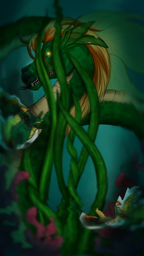 finley002.png