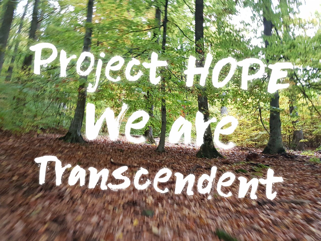 Project Hope - We are Transcendent