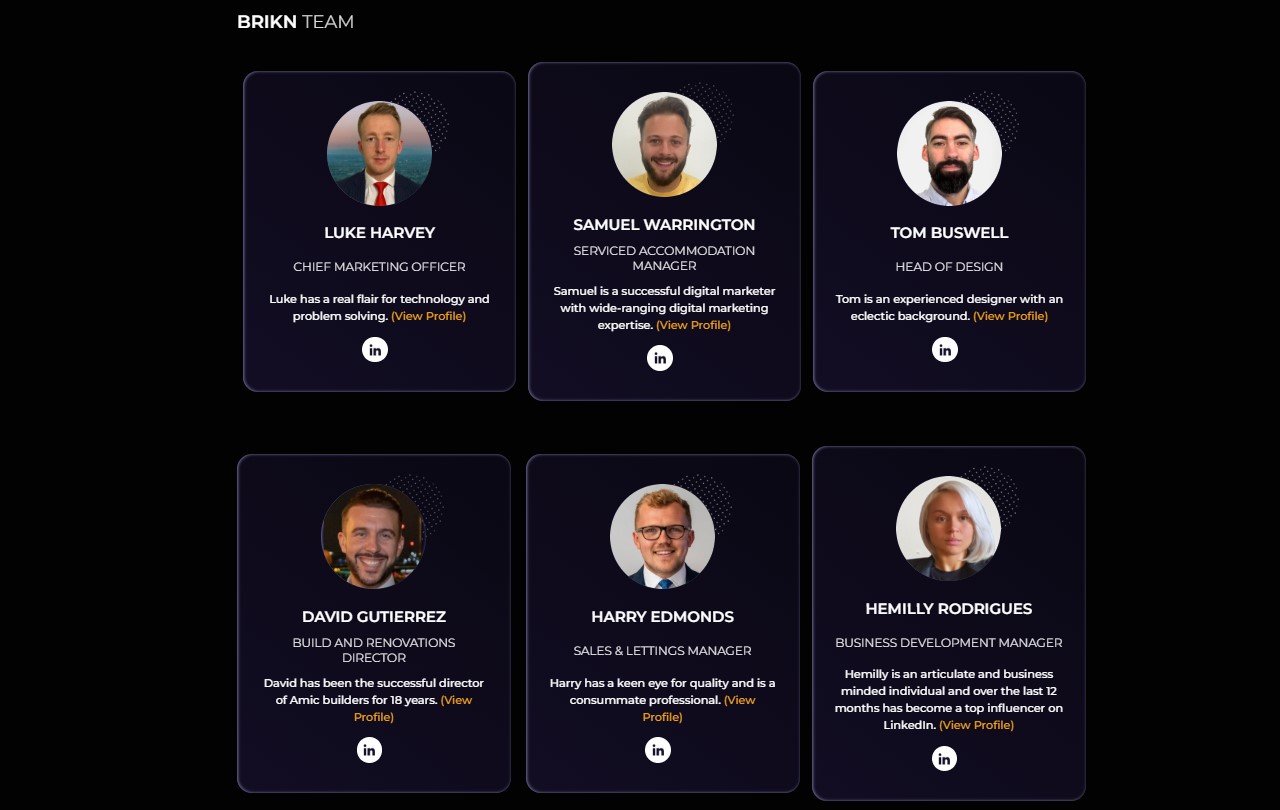 Brikn first real estate DAO ecosystem an owner