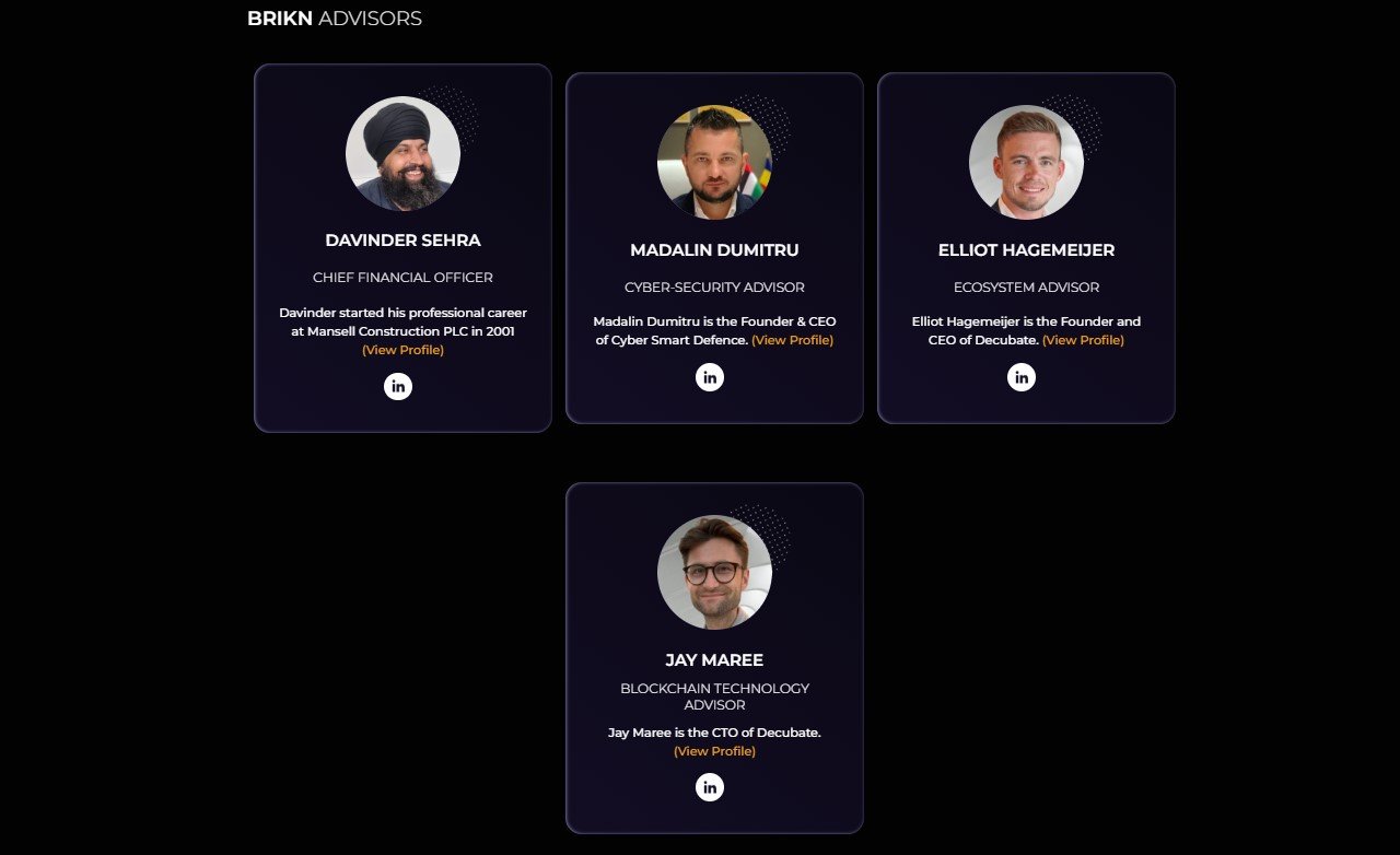 Brikn first real estate DAO ecosystem an owner