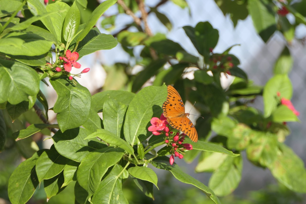 Hello Everyone ёяшк таф Steemit