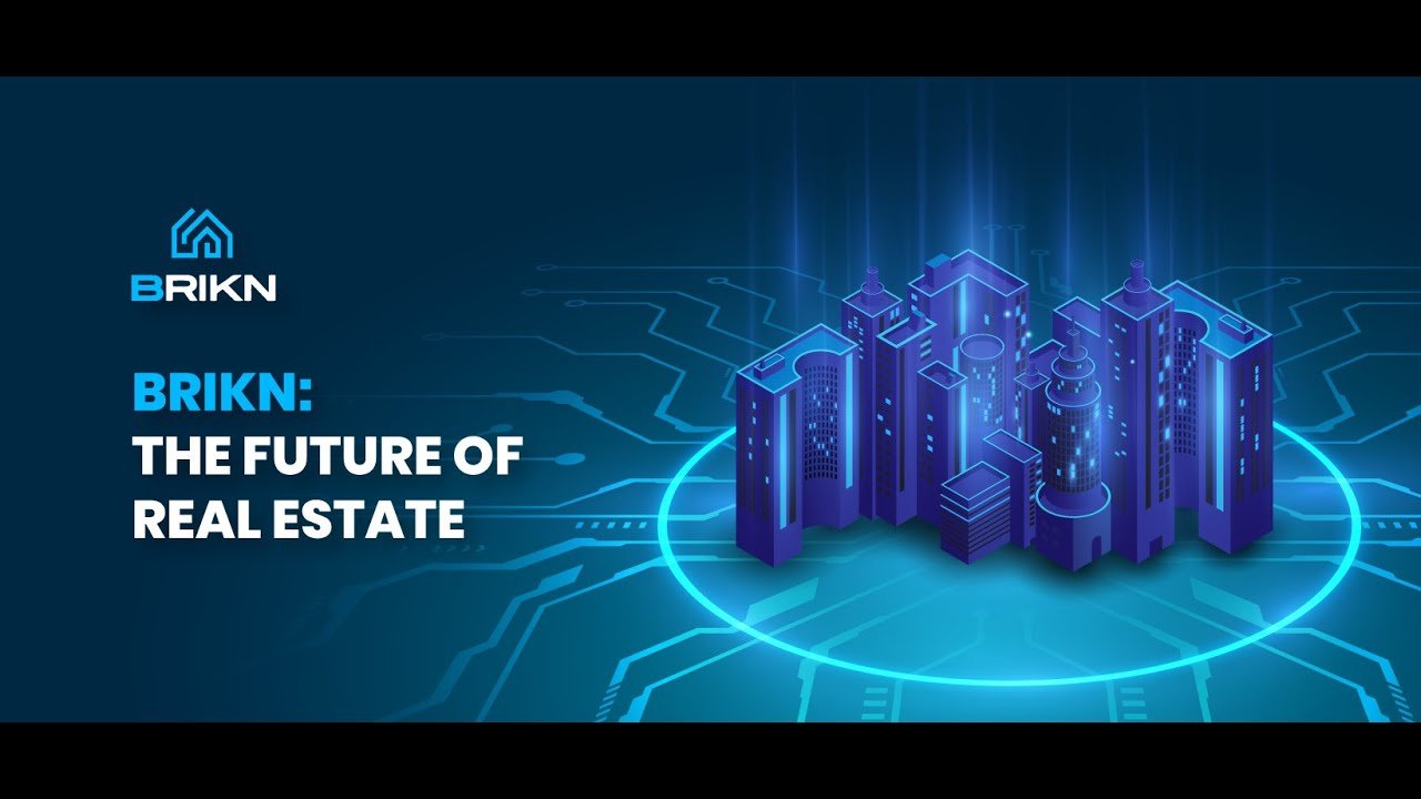 Brikn first real estate DAO ecosystem an owner