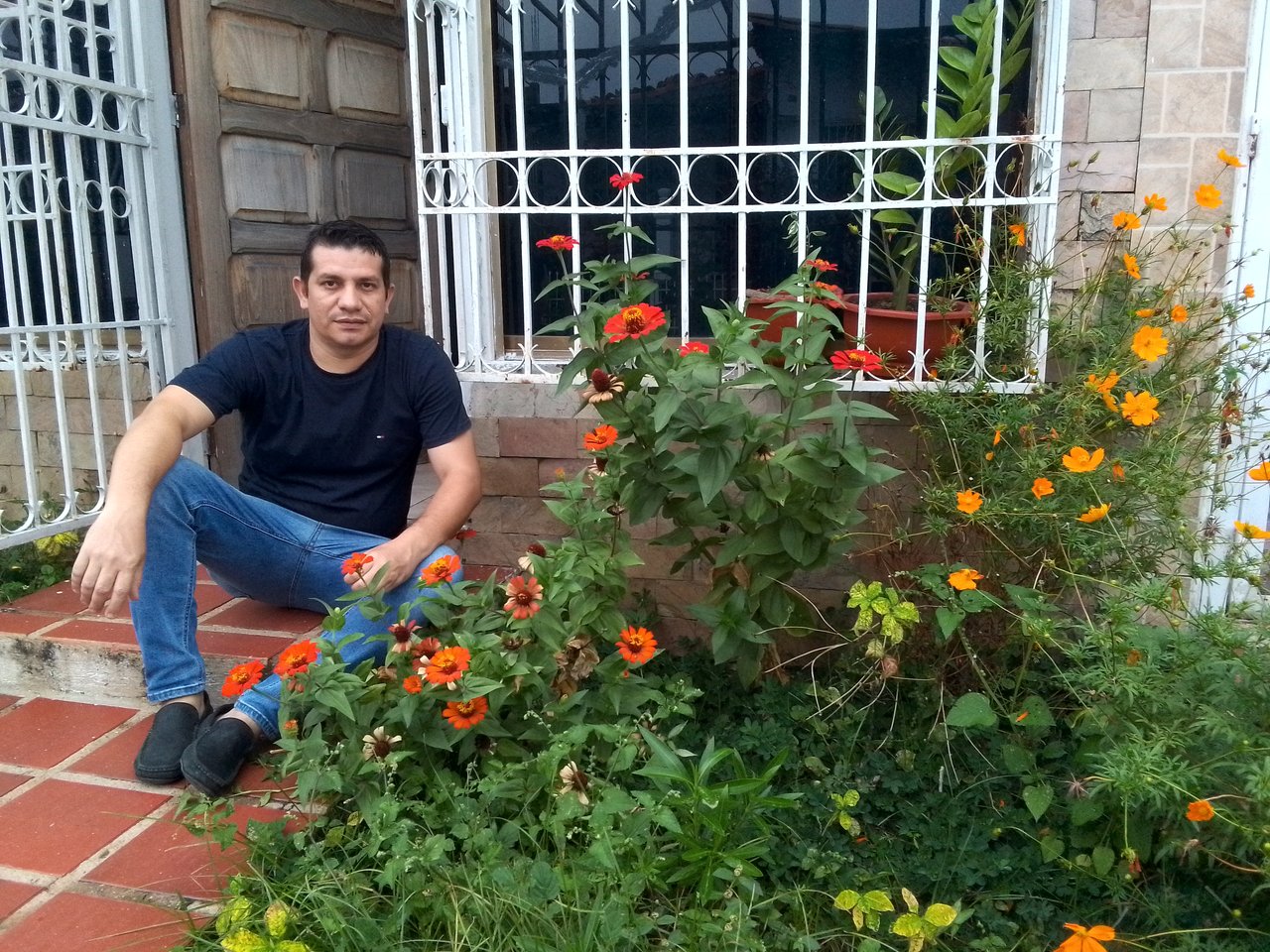 plants