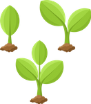 illustration-plant-growing