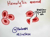 Hematology